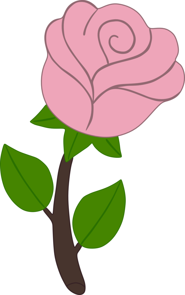 Rosa